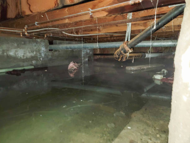 24/7 water damage repair in OR