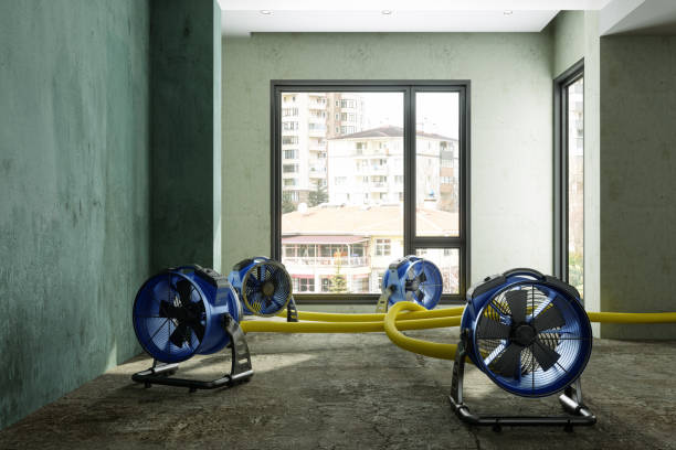 Best Basement water damage restoration  in Warm Springs, OR